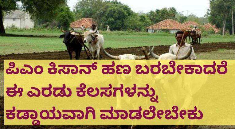 ಪಿಎಂ ಕಿಸಾನ್ ಹಣ ಬರಬೇಕಾದರೆ ಈ ಎರಡು ಕೆಲಸಗಳನ್ನು ಕಡ್ಡಾಯವಾಗಿ ಮಾಡಲೇಬೇಕು