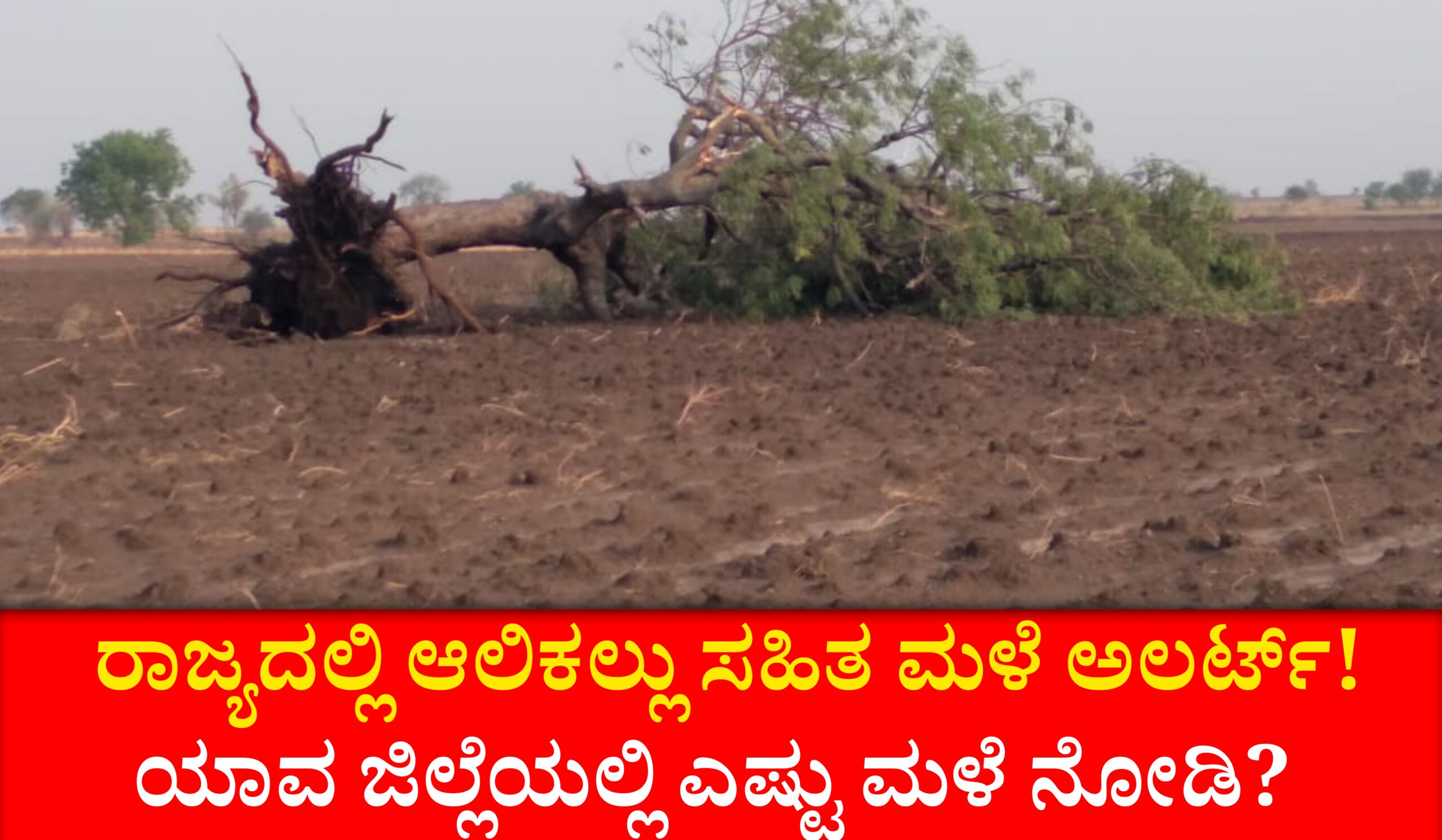 ರಾಜ್ಯದಲ್ಲಿ ಮುಂದಿನ ಐದು ದಿನಗಳ ಹವಾಮಾನ ವರದಿ ರಿಪೋರ್ಟ್! ಮಳೆ ಗುಡುಗು ಸಿಡಿಲು ಮತ್ತು  ಅಲಿಕಲ್ಲು ಅಲರ್ಟ್